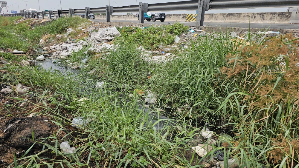 Cao tốc TP.HCM - Trung Lương (12).jpg