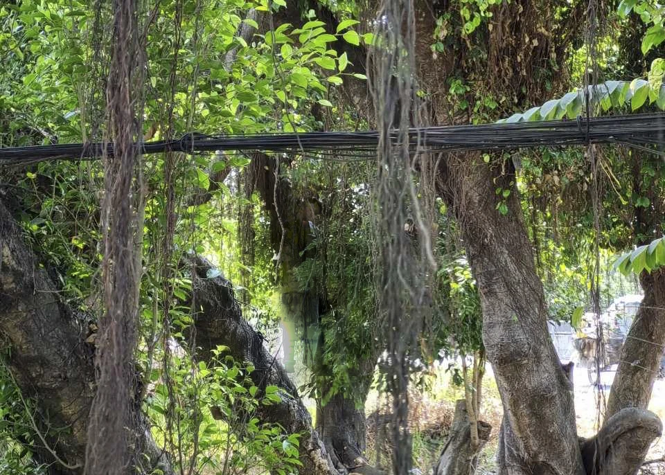 Treo cổ tự tử_1.JPG