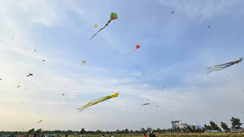 thả diều (15).JPG