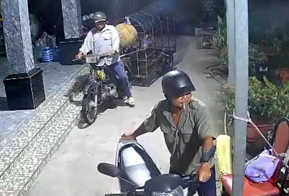 giả thương lái mua heo.jpeg