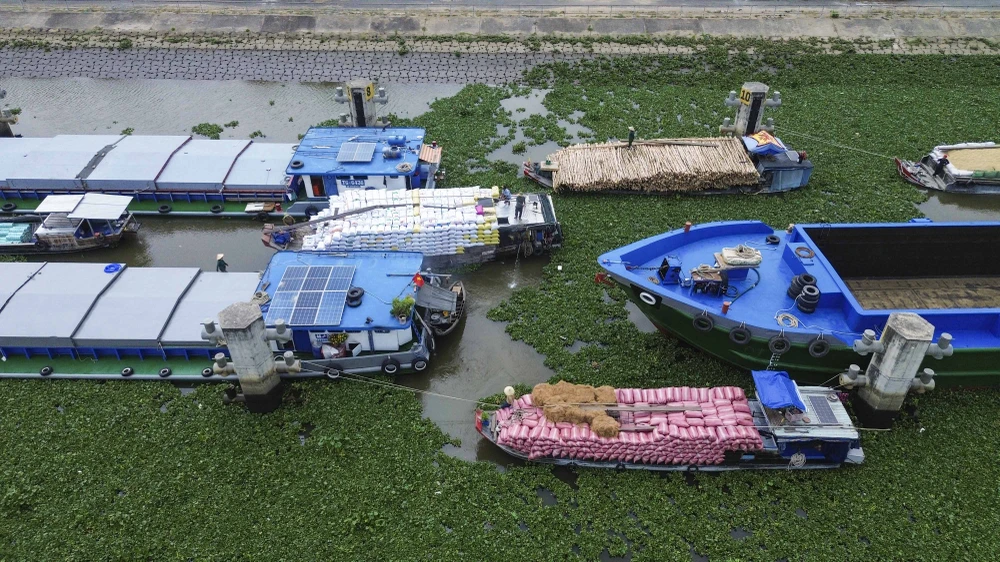 Âu tàu Rạch Chanh_3.JPG