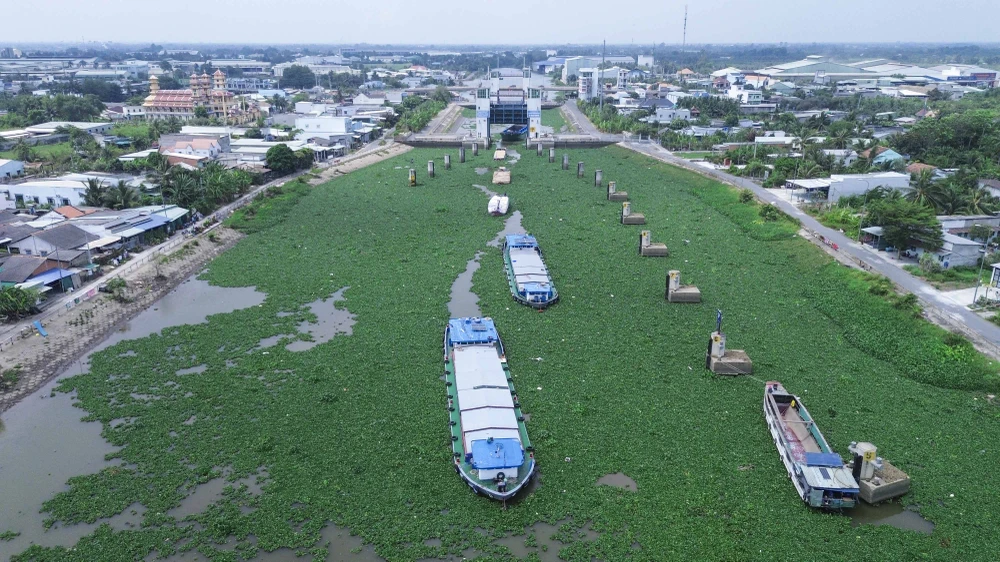 Âu tàu Rạch Chanh_4.JPG