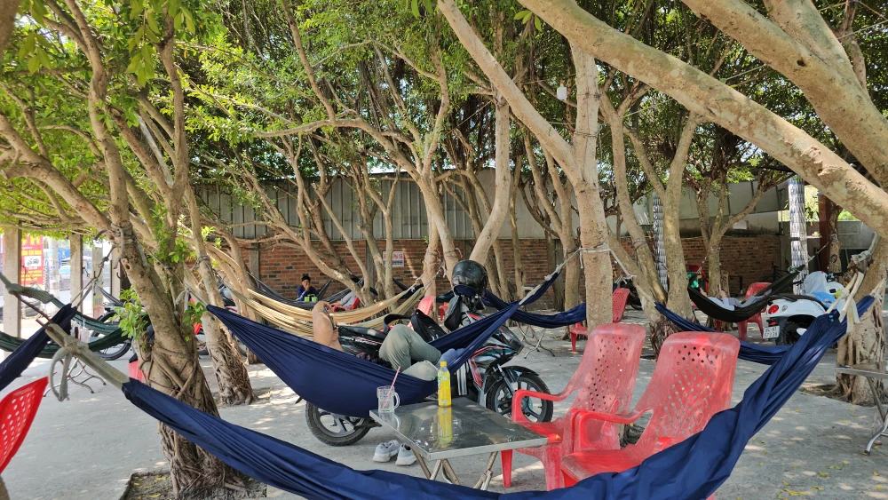 Quán cà phê được trồng trên 30 cây si (9).jpg