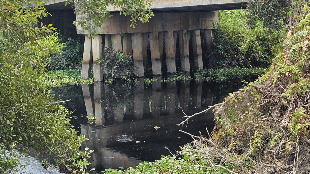 dòng kênh đen (7).jpg