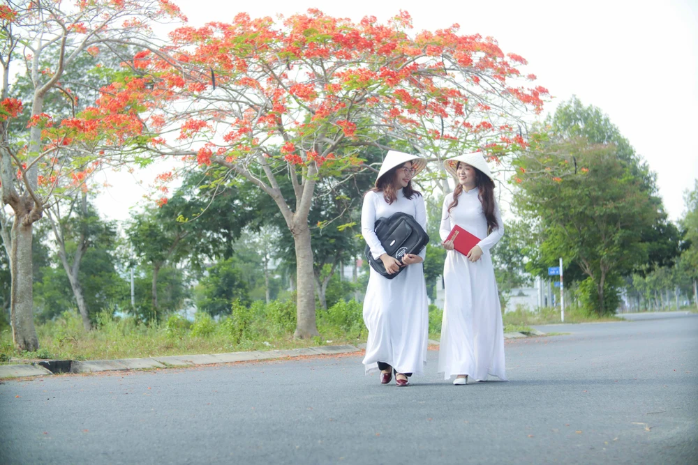 hoa phượng (16).JPG