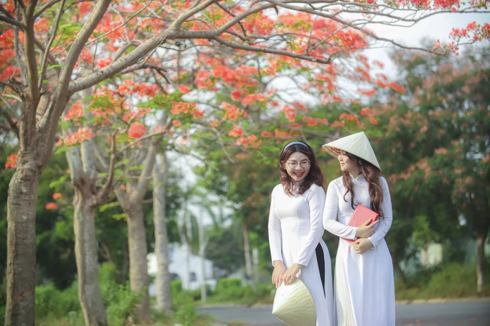 hoa phượng (19).JPG