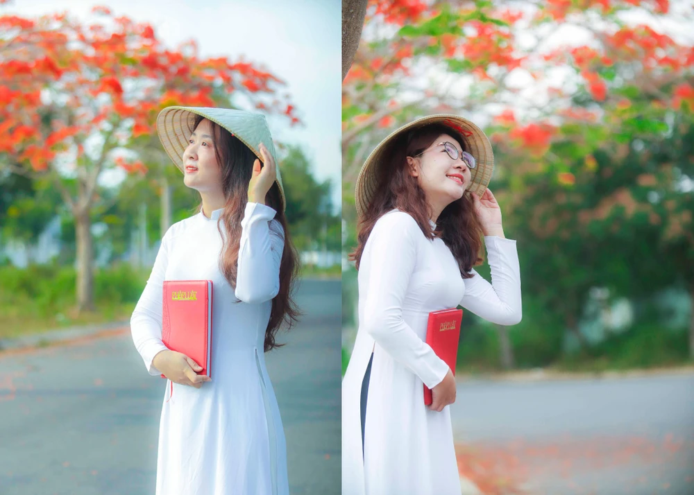 hoa phượng (23).jpg