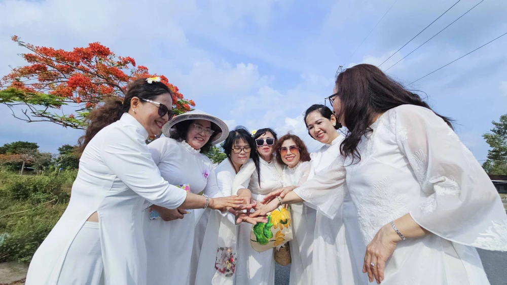 hoa phượng (5).JPG