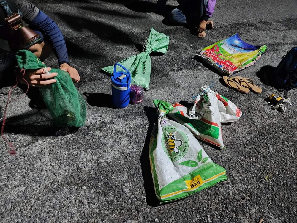 bắt ếch đồng 13.jpg