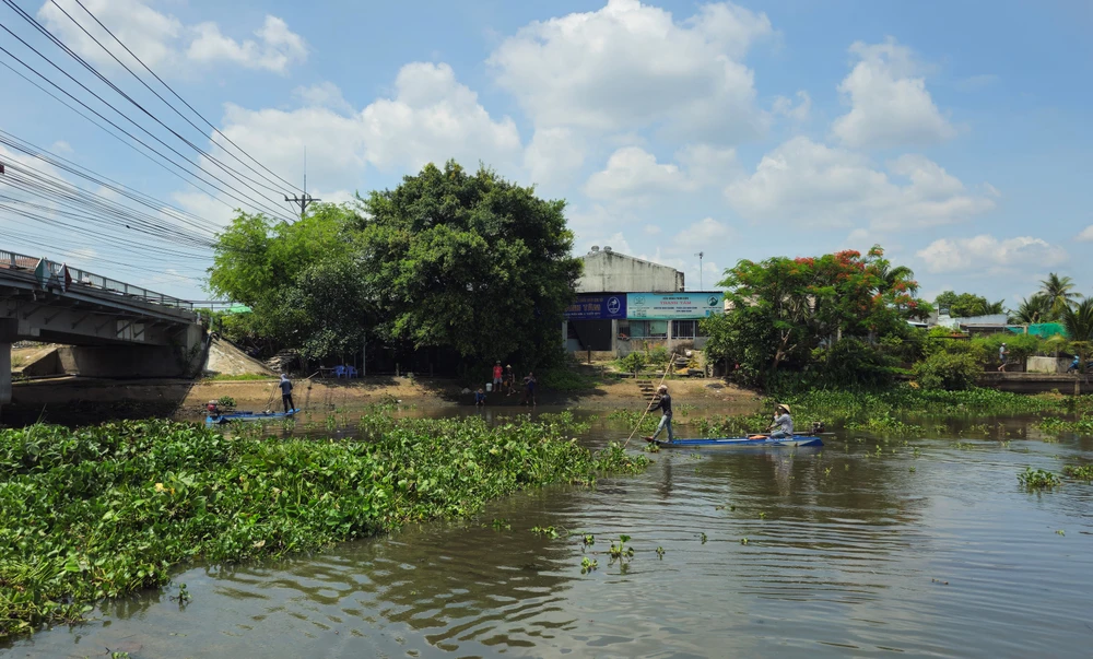 mở cống ngăn mặn 3.jpg