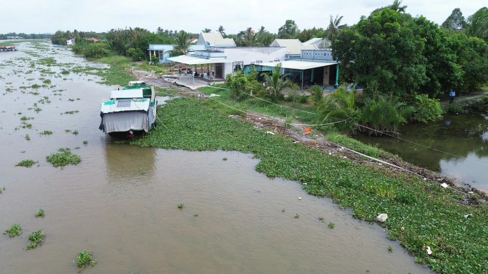 sạt lở đê bao ven sông Vàm Cỏ Tây (6).JPG