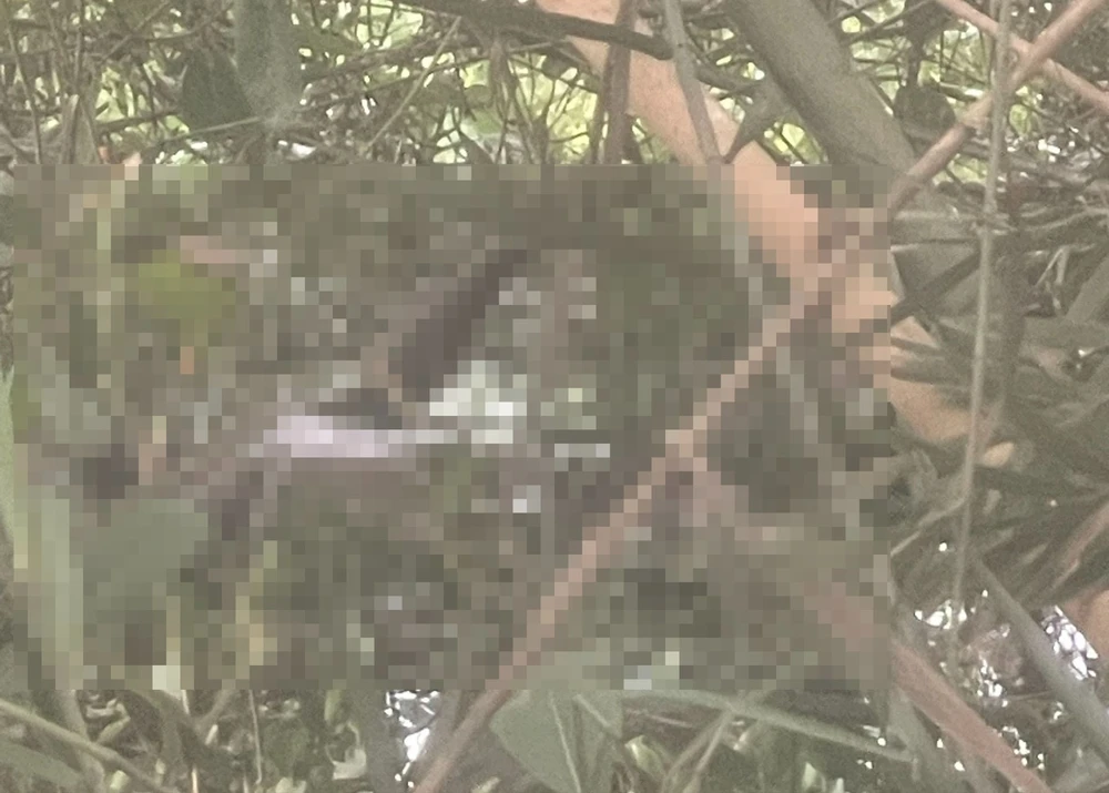 thi thể người đàn ông nổi dưới kênh.jpg