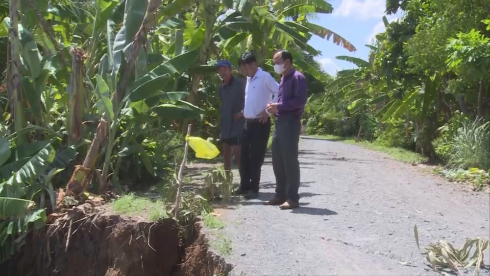 đê bao ven sông Vàm Cỏ Tây.jpg
