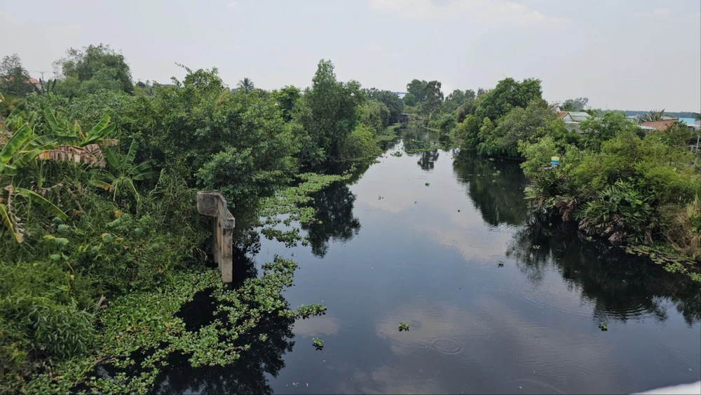 xả thải gây ô nhiễm nhiều tuyến kênh.jpg