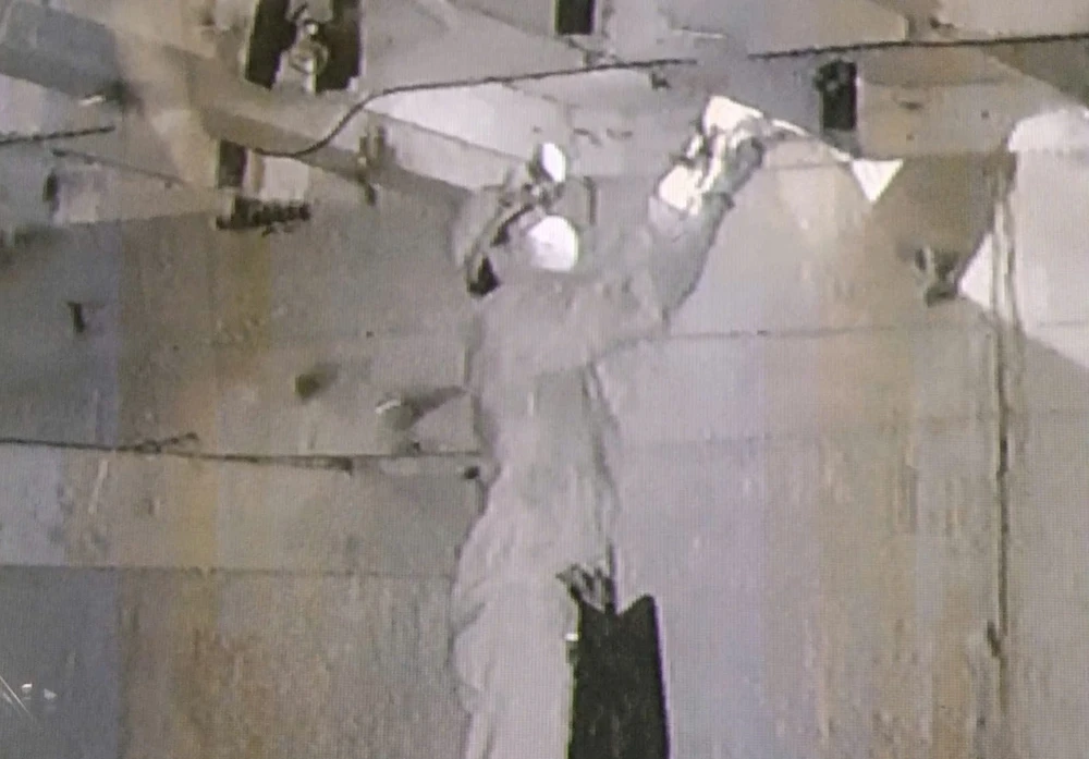 trộm tổ yến 1.jpg