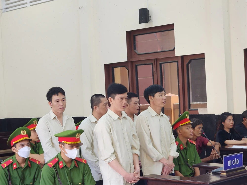 Trộm mai vàng.jpg