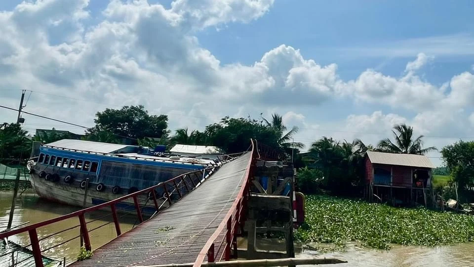 Ghe chở cá mang sập cầu (1).jpg