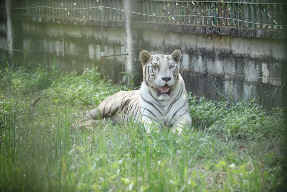 Nguồn gốc thức ăn.jpg
