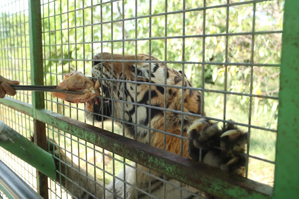 vườn thú Mỹ Quỳnh.jpg