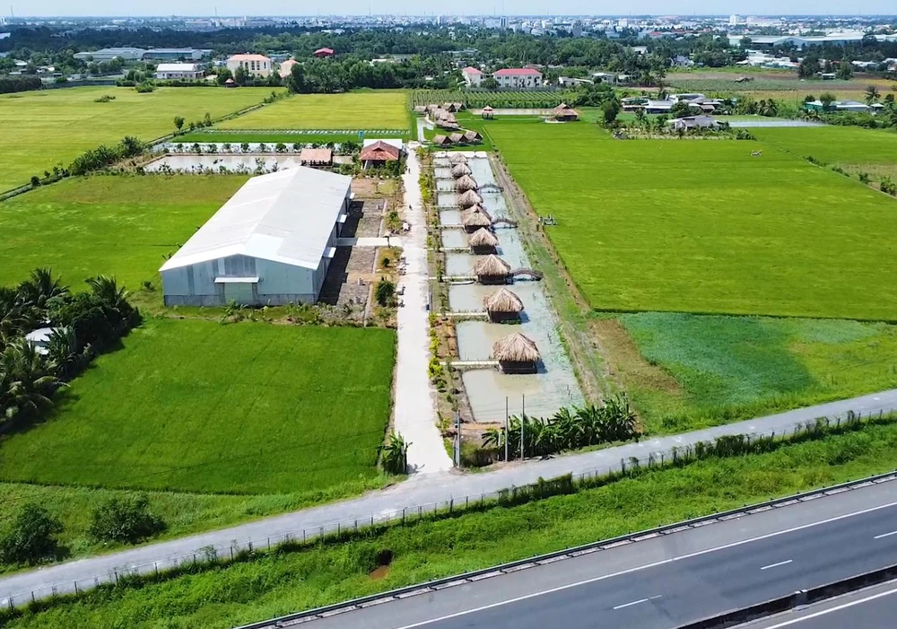 Khu sinh thái Không Thời Gian 4.jpeg