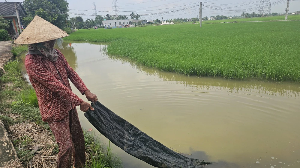 trang trại nuôi vịt 3 (1).jpg