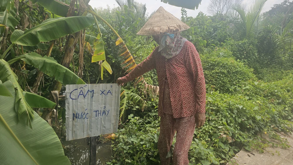 trang trại nuôi vịt 3 (2).jpg