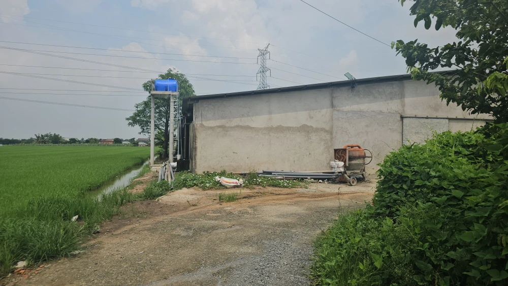 trang trại nuôi vịt 3 (3).jpg