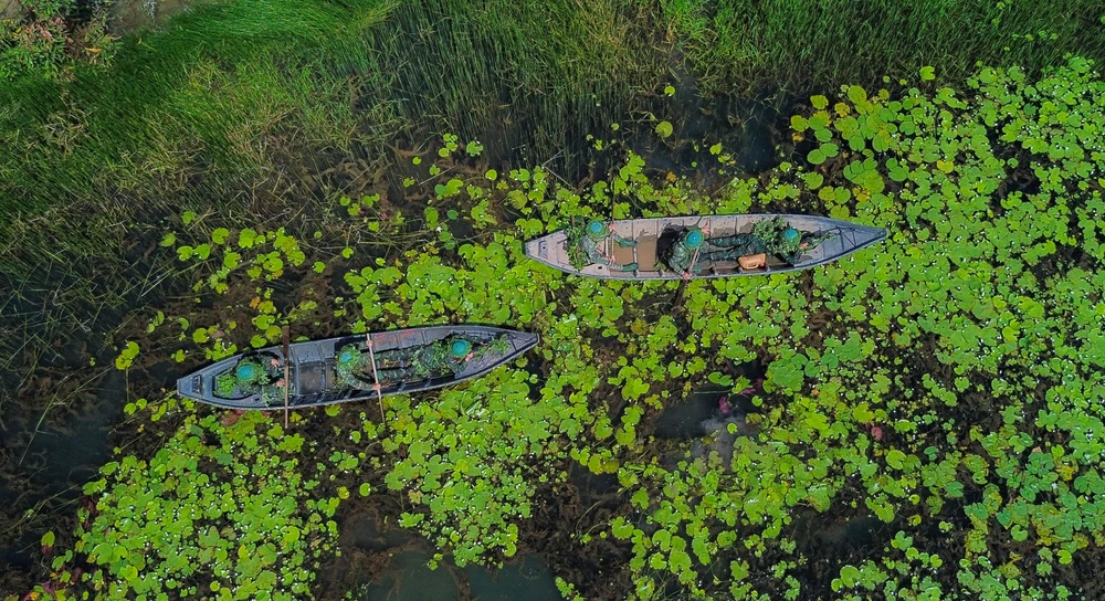 Mùa nước nổi (2).jpg