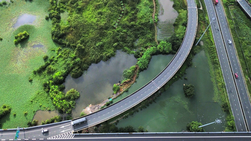 Nhếch nhác khu vực dưới nút giao Quốc lộ 62 lên cao tốc TP.HCM - Trung Lương