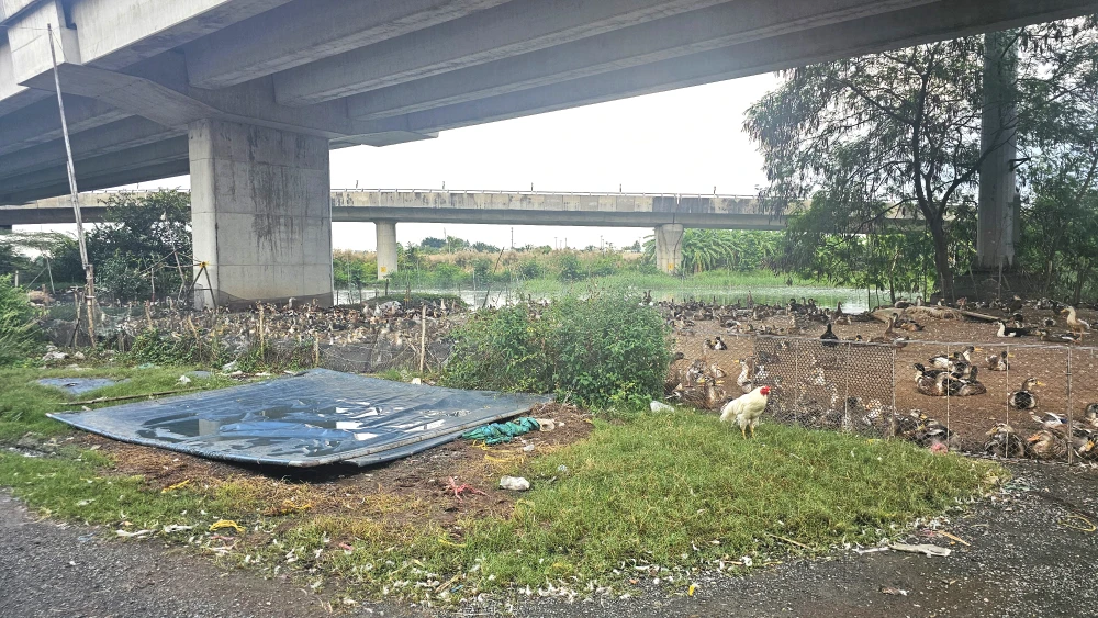 Nhếch nhác khu vực dưới nút giao Quốc lộ 62 lên cao tốc TP.HCM - Trung Lương