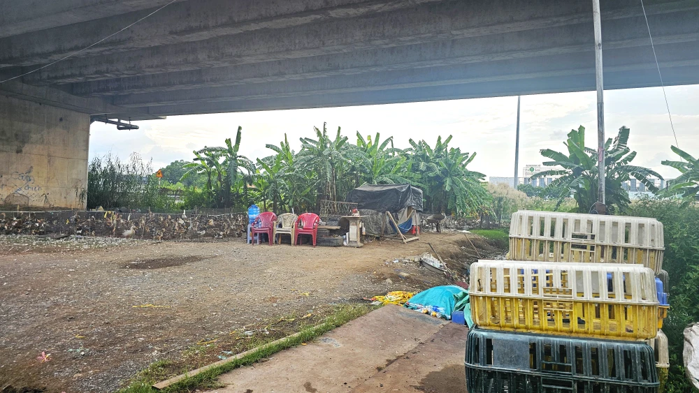 Nhếch nhác khu vực dưới nút giao Quốc lộ 62 lên cao tốc TP.HCM - Trung Lương