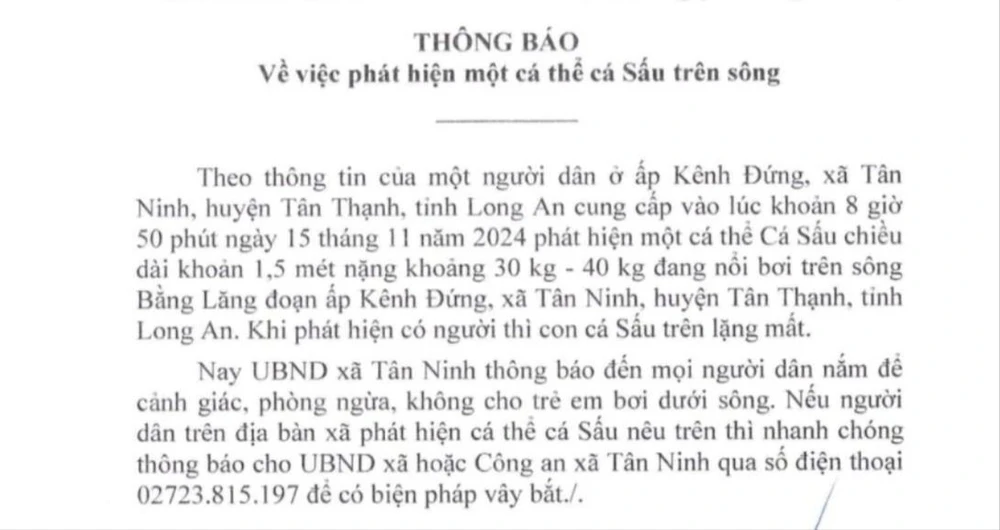 cá sấu nổi trên sông.jpg