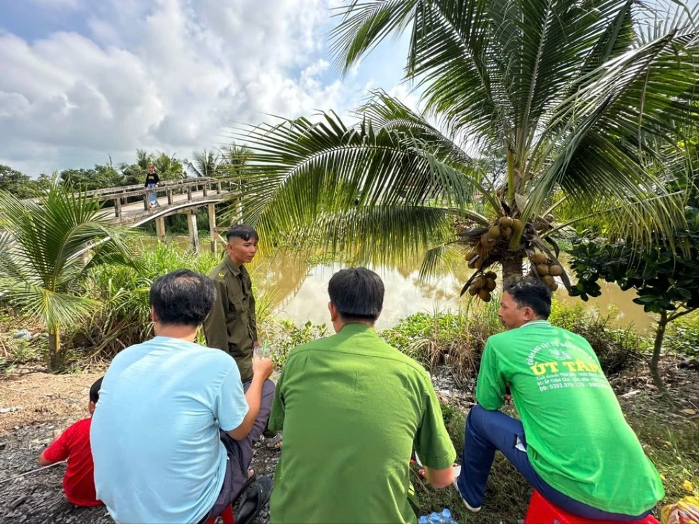 Cá sấu nổi trên sông.jpg