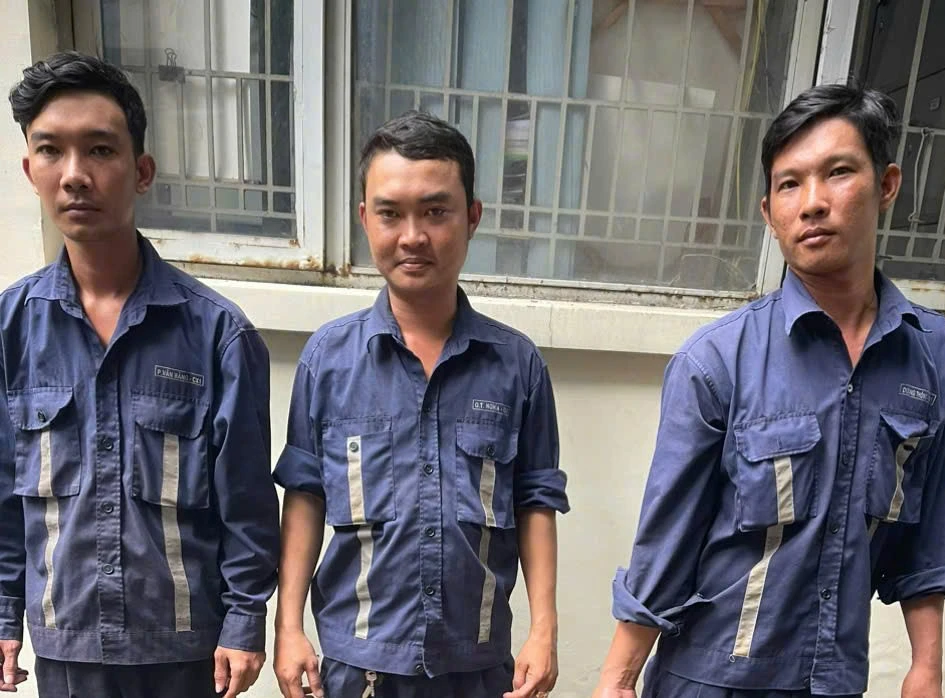 cây cau kiểng (1).jpg