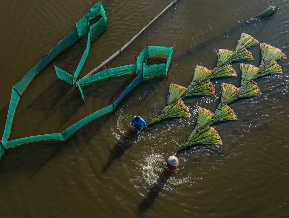 mùa nước nổi (17).jpg