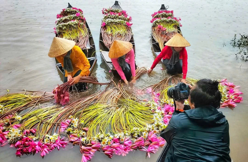 mùa nước nổi 19.jpg