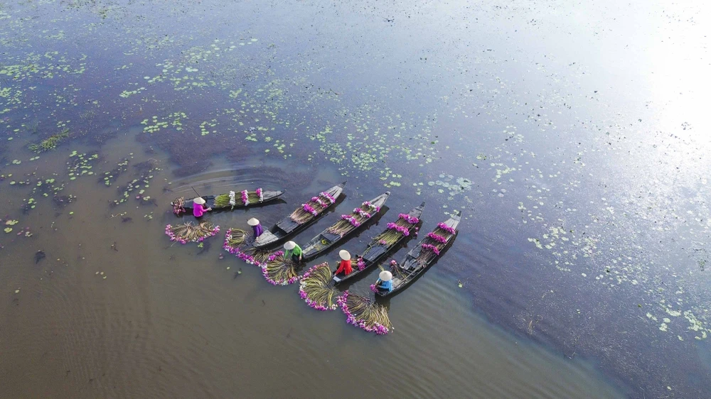 mùa nước nổi 22.JPG