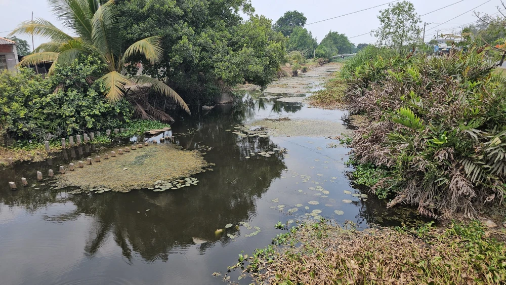 ô nhiễm môi trường.jpg