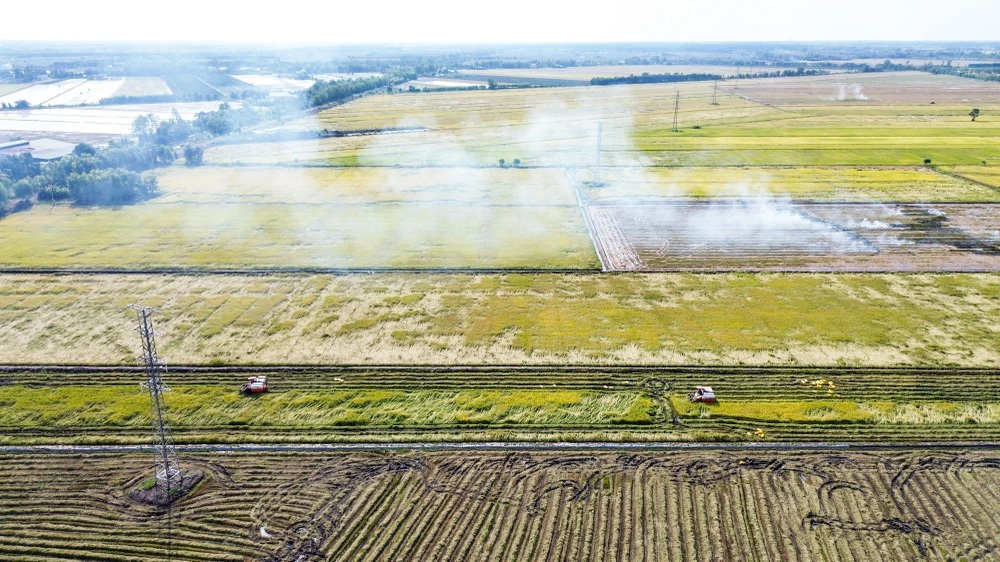 thu hoạch lúa.jpg