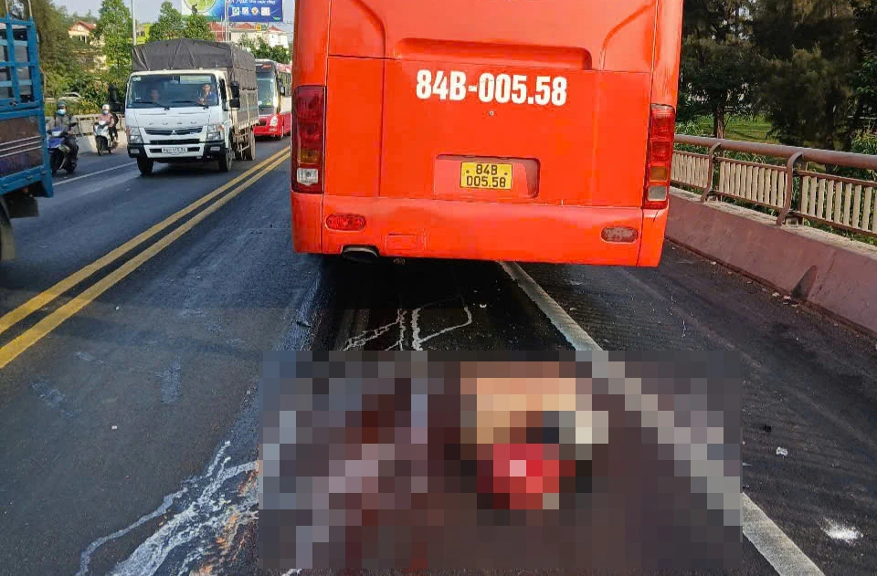 cầu Rạch Miễu.jpg