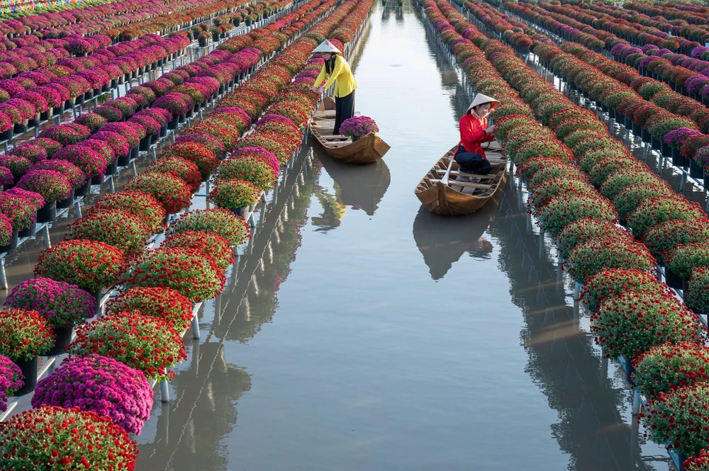 Tết Nguyên đán 2025