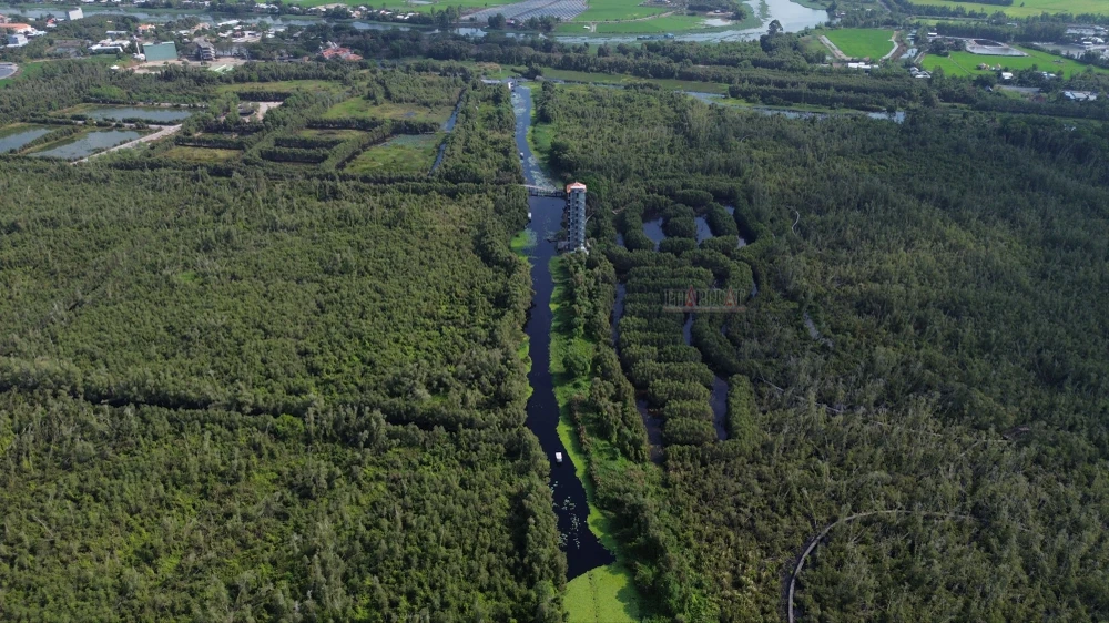 Làng nổi Tân Lập (2).JPG