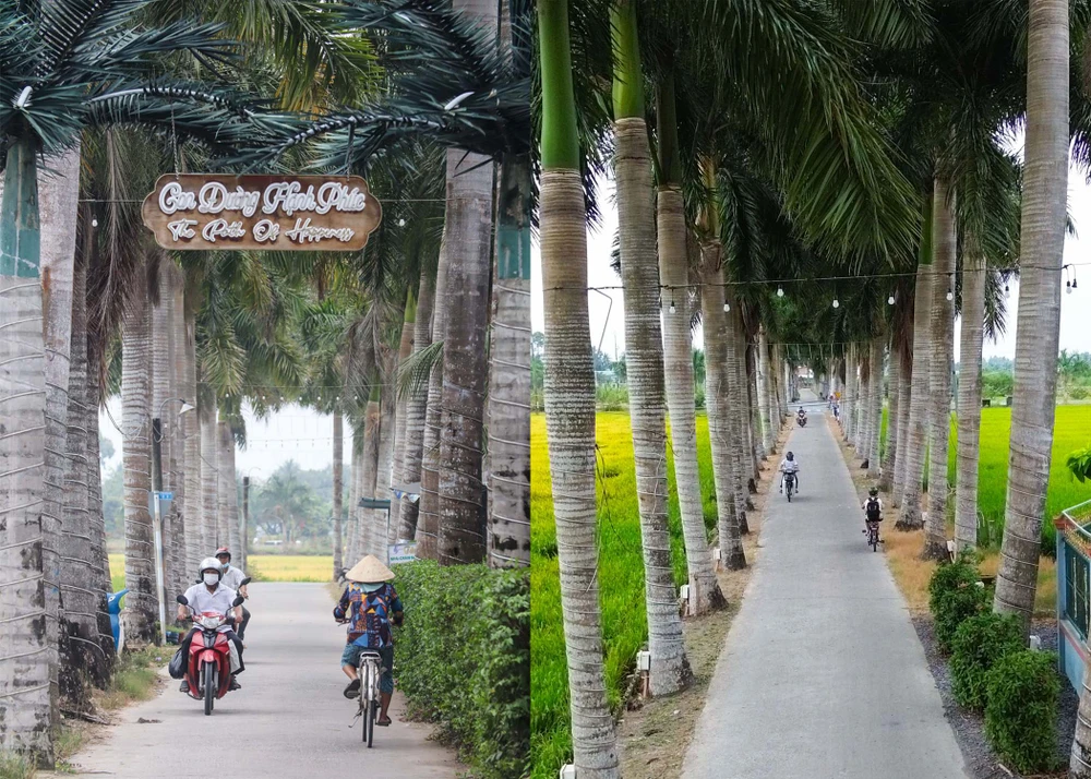 hàng cau vua Long An 19.jpg