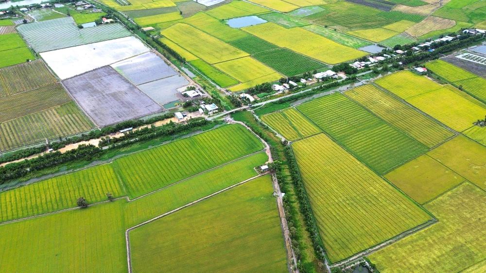 đất nông nghiệp 1.JPG