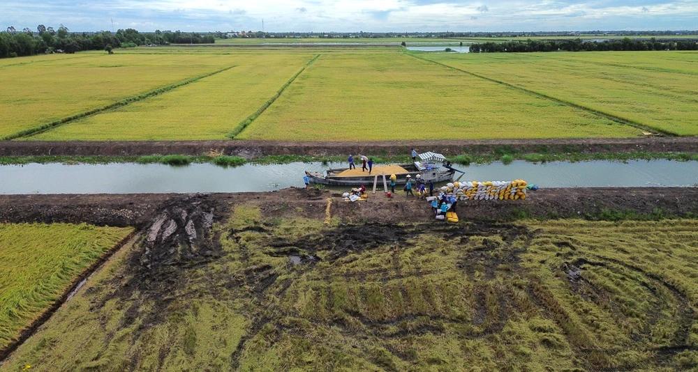 cải cách hành chính 1.JPG