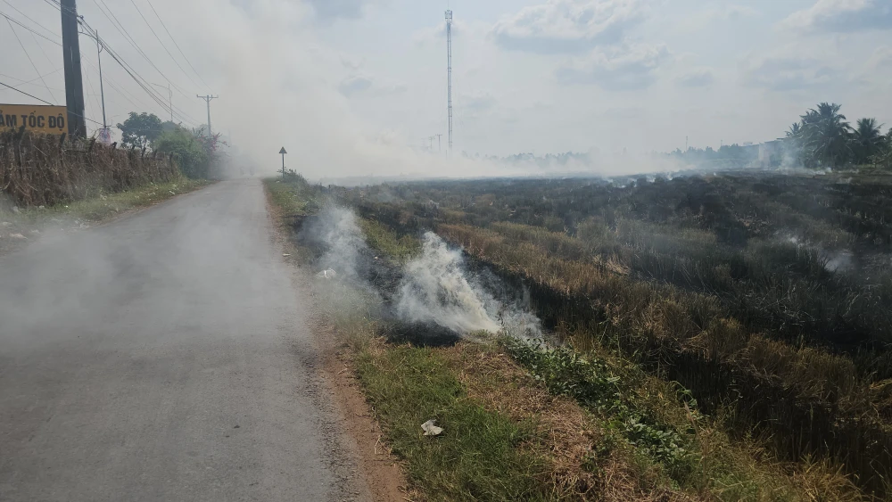 cao tốc TP.HCM – Trung Lương 2.jpg