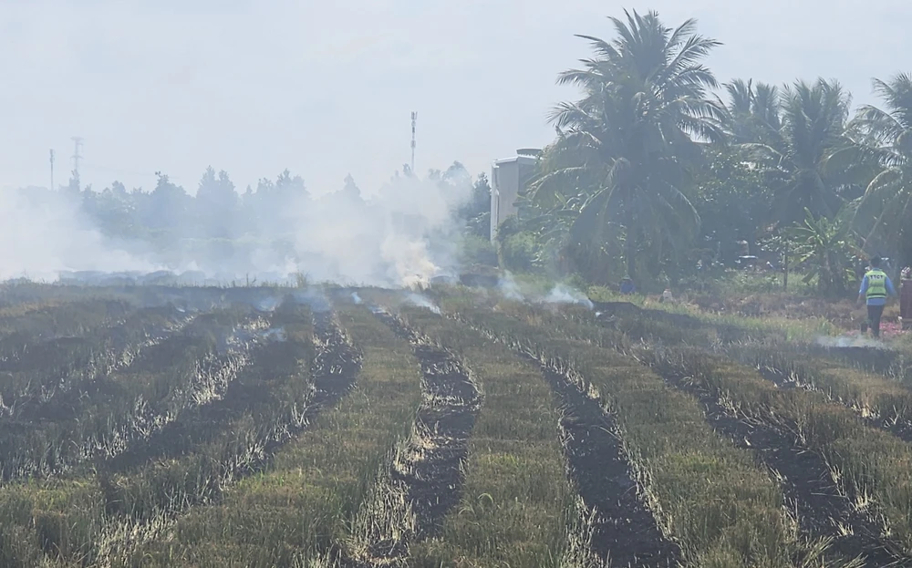 cao tốc TP.HCM – Trung Lương 3.jpg