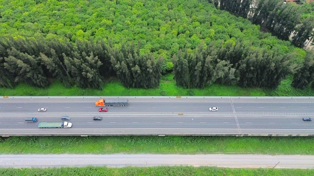 hàng cây ven cao tốc 4.JPG