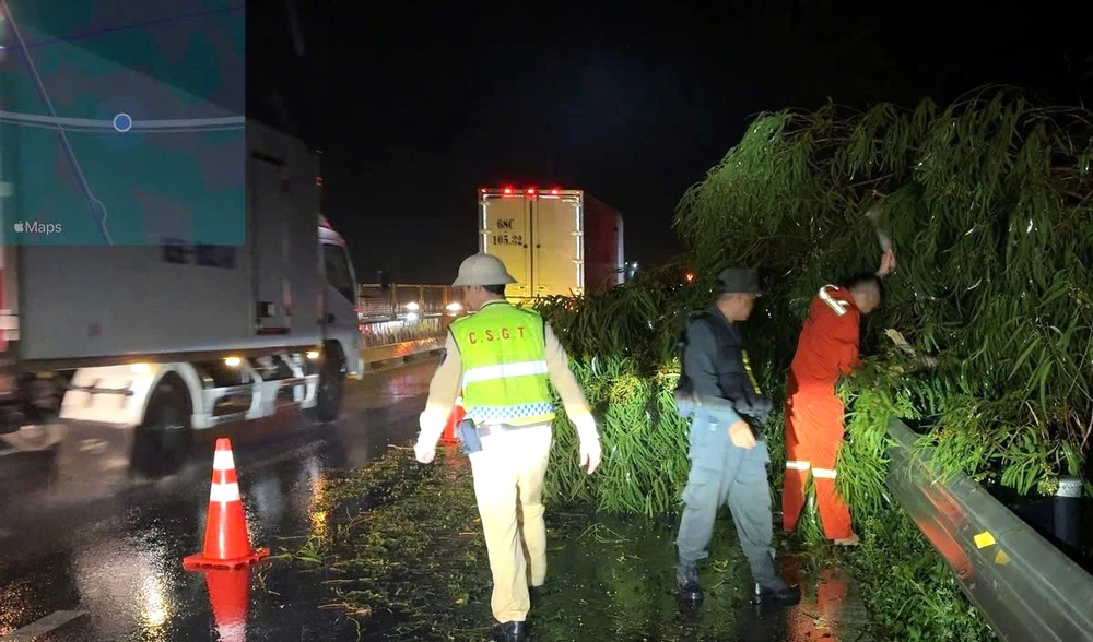 hàng cây ven cao tốc 5.jpg