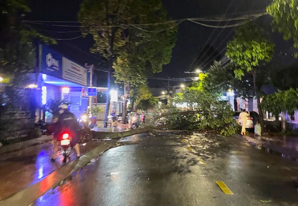 hàng cây xanh 2.jpg